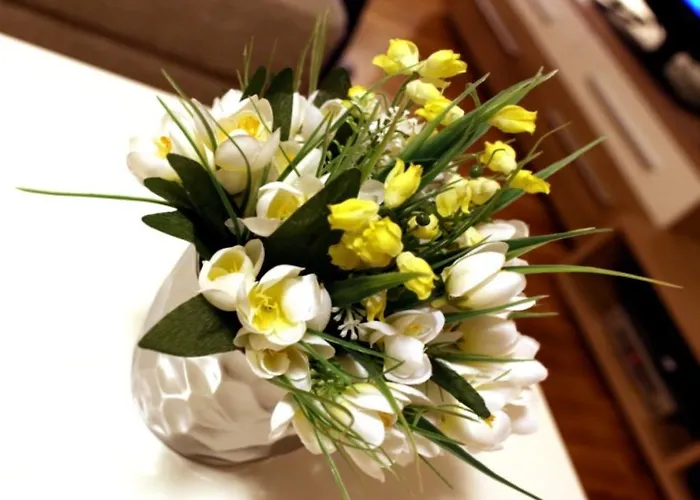 Διαμέρισμα Sorriso Ρόβινι