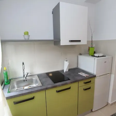 公寓 Sorriso 罗维尼